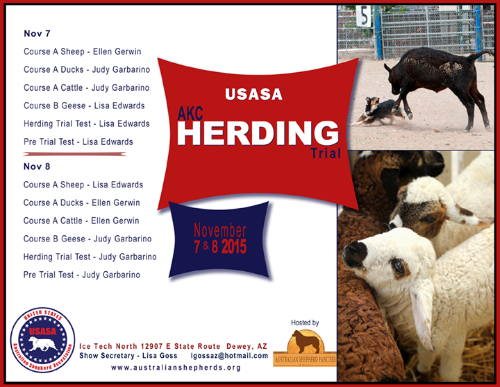 2015 USASA AKC Herding Trial Australian Shepherd Fanciers of Arizona